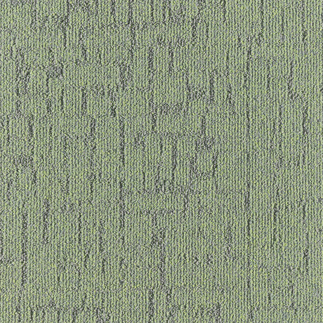LITHO_672_A