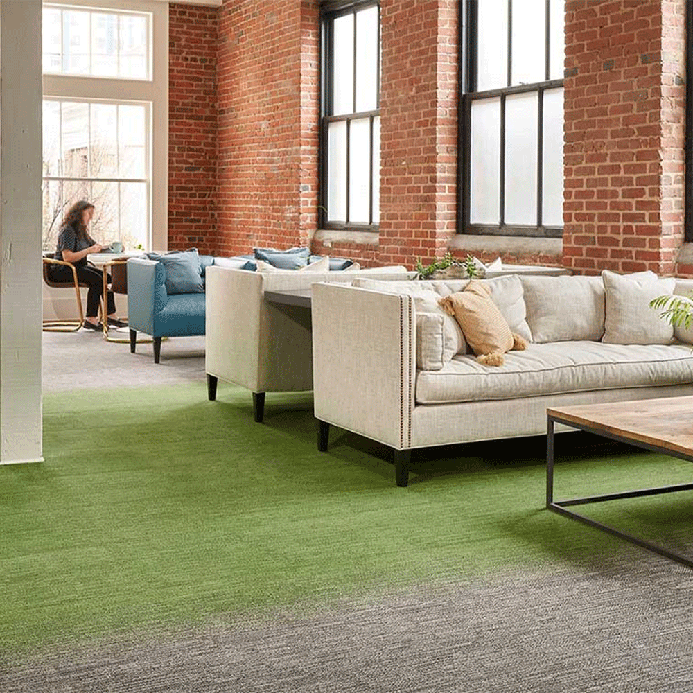 Milliken Laylines - Transitions