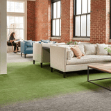 Milliken Laylines - Transitions