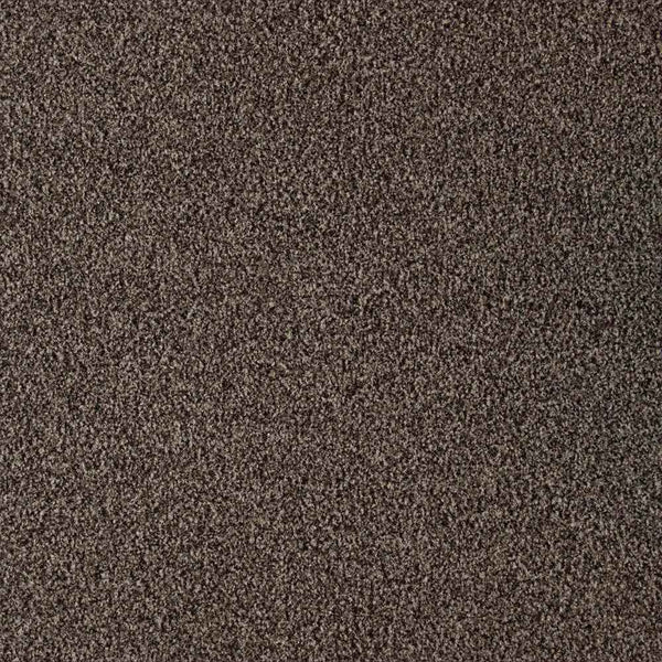 Leaden Grey
