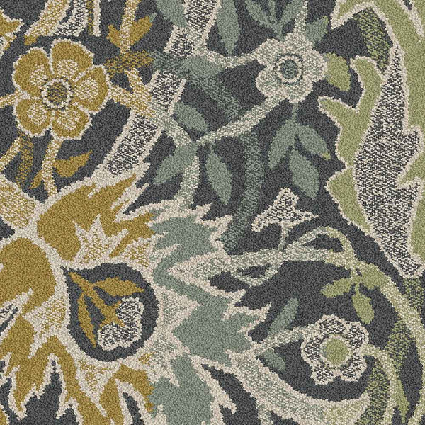 Lichen 9959003