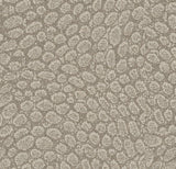 Limestone 600R004