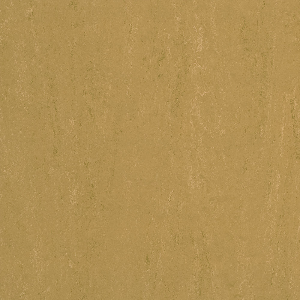 Forbo Marmoleum Modular Accent