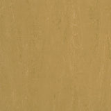 Forbo Marmoleum Modular Accent