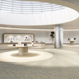 MODULYSS_Interior-Full_Haelo_Ray-528-Opulent-150_TechStore_LR_1.jpg