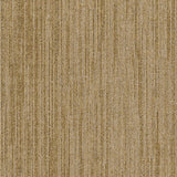 MODULYSS_Product_First_FirstDecode_102-A_LR