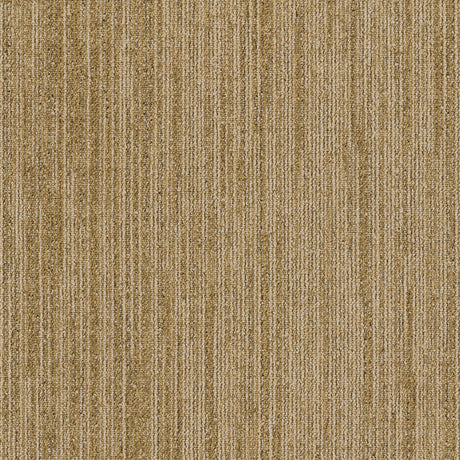 MODULYSS_Product_First_FirstDecode_102-A_LR