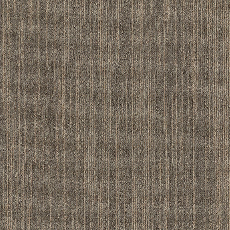MODULYSS_Product_First_FirstDecode_815-A_LR