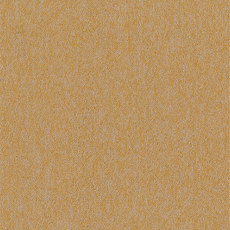 MODULYSS_Product_First_FirstForward_202-A_LR_1