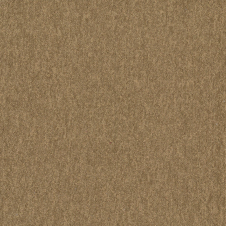 MODULYSS_Product_First_FirstForward_233-A_LR