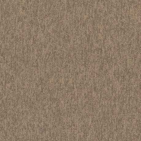 MODULYSS_Product_First_FirstForward_818-A_LR