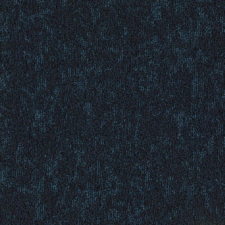 MOSS_578_A