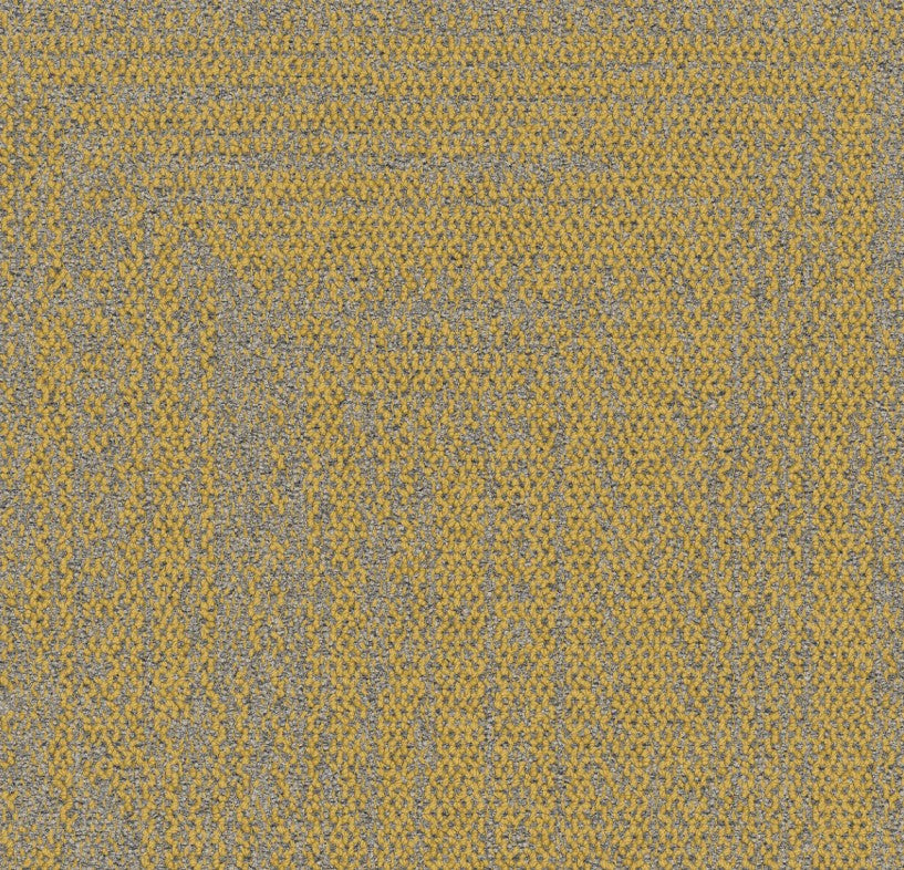 Maize 9707004
