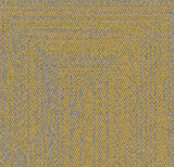 Maize 9707004
