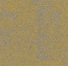Maize 9708004