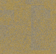 Maize 9708004