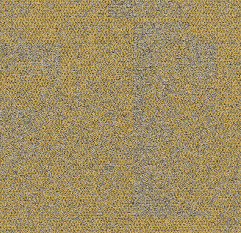 Maize 9708004