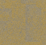 Maize 9708004