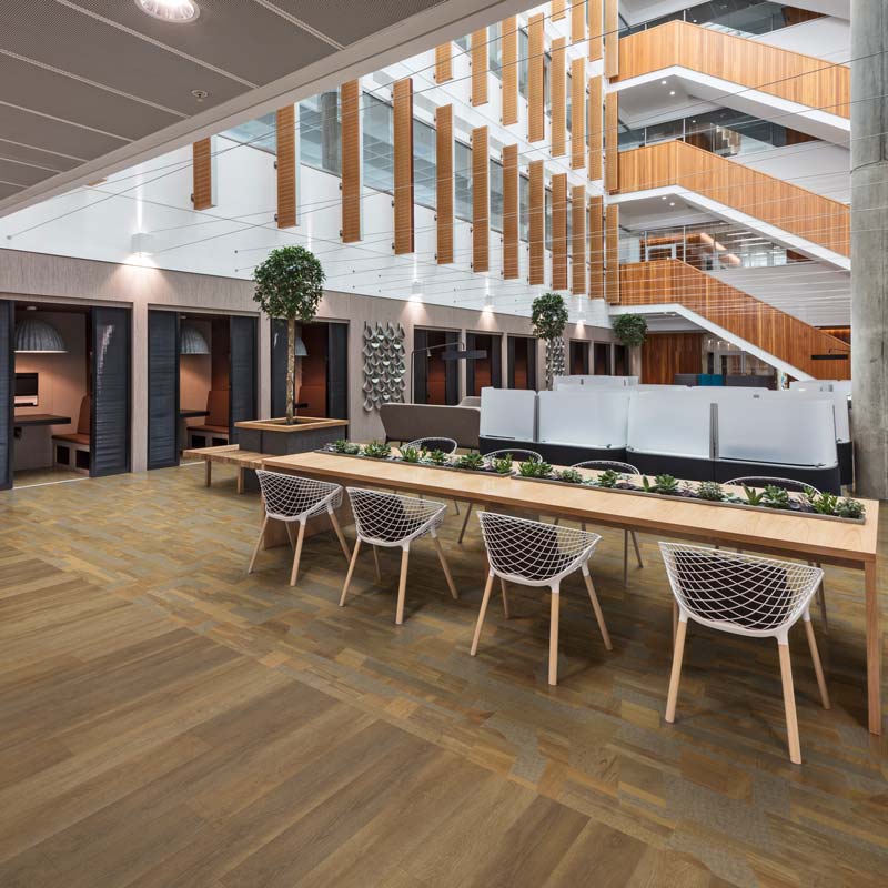 Polyflor Expona Design Wood Gluedown  - Mango Oak 9042