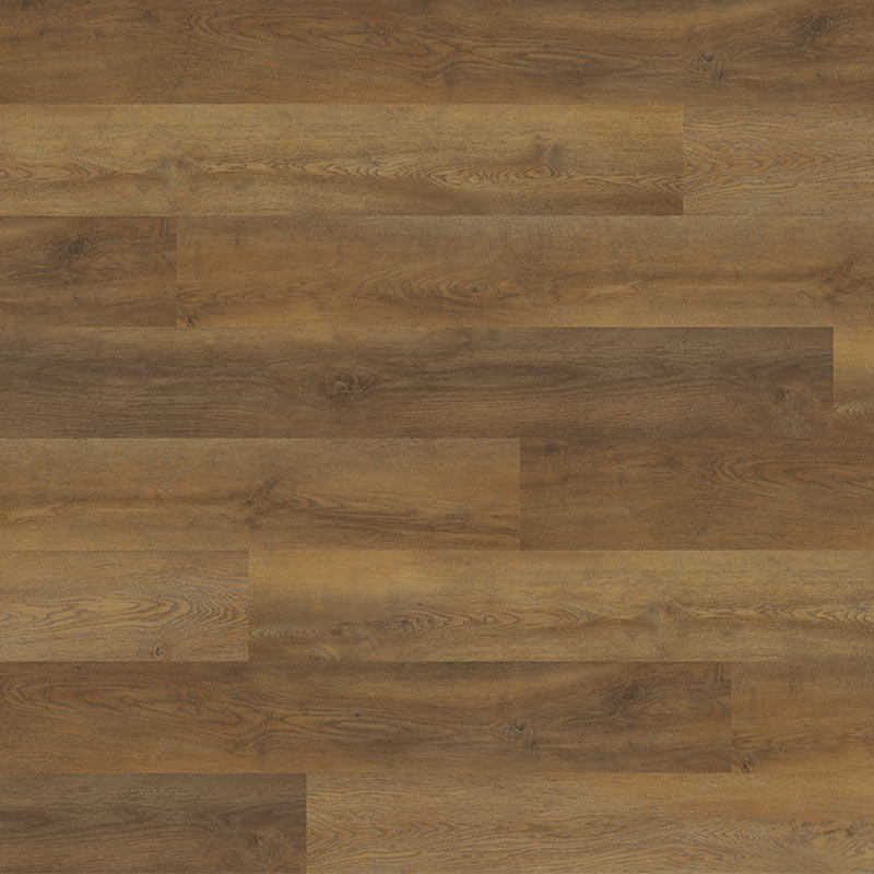 Polyflor Expona Design Wood Gluedown  - Mango Oak 9042
