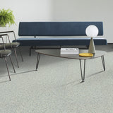 Milliken All About Stone 5.0 - Terrazzo Venezia TRZ139