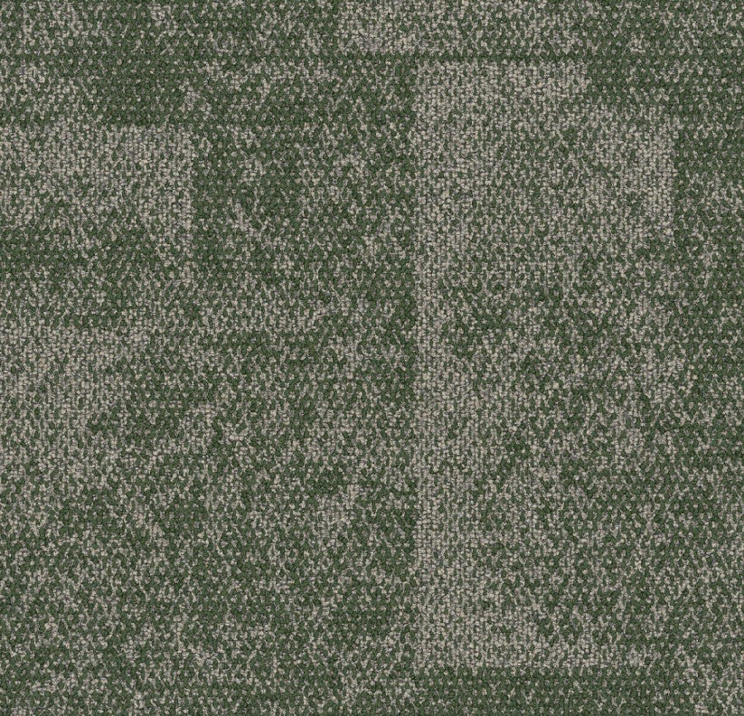 Moss 9708005
