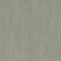 Forbo Marmoleum Modular Neutral Cinder t3889 Linoleum