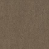 Forbo Marmoleum Modular Neutral