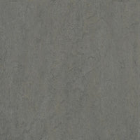 Forbo Marmoleum Modular Neutral Eternity t3866 Linoleum