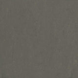 Forbo Marmoleum Modular Neutral