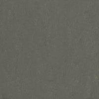 Forbo Marmoleum Modular Neutral Meteorite t3705 Linoleum