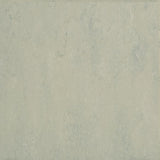 Forbo Marmoleum Modular Neutral