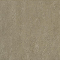 Forbo Marmoleum Modular Neutral Sparrow t3252 Linoleum