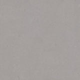 Forbo Marmoleum Modular Neutral