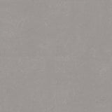Forbo Marmoleum Modular Neutral