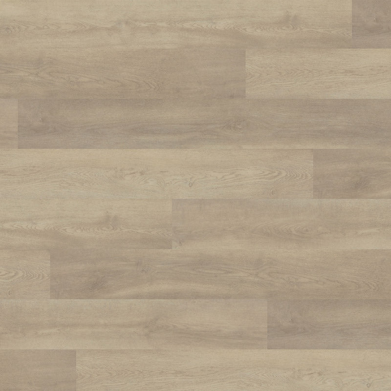 Polyflor Expona Design Wood Gluedown  - Pacific Oak 9041