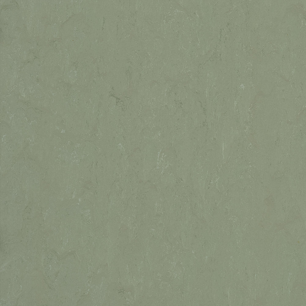 Forbo Marmoleum Modular Accent