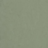 Forbo Marmoleum Modular Accent