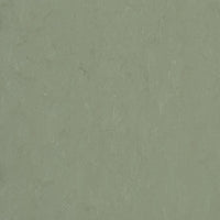 Forbo Marmoleum Modular Accent Pine Forest t3750 Linoleum