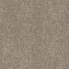 RUST-106_A