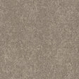 RUST-106_A