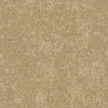 RUST-238_A
