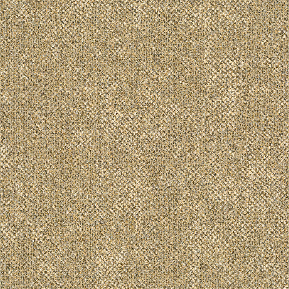 RUST-238_A