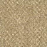 RUST-238_A