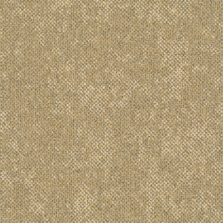 RUST-238_A