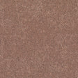 RUST-344_A