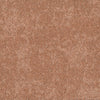 RUST-356_A