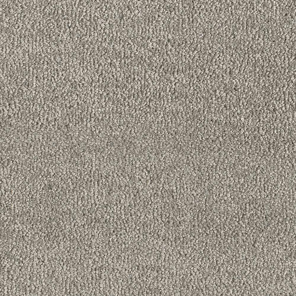 Slipper Silver