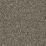 Nouveau Carnival 2.0