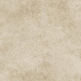 Tarkett Tapiflex Essential 50